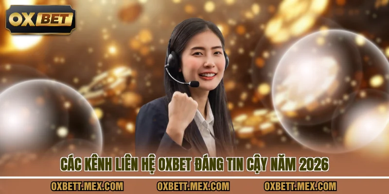 Các kênh liên hệ OXBET đáng tin cậy năm 2026