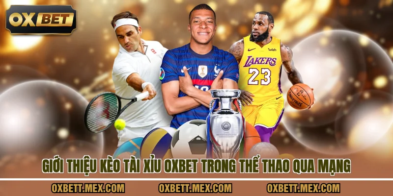 Giới thiệu kèo tài xỉu OXBET trong thể thao qua mạng